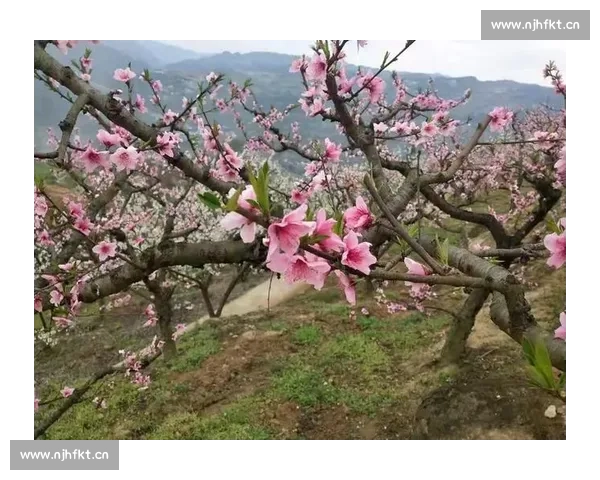 叹为观止!这扑救美如画,足球扑救榜你怎能错过! 叹为观止!这扑救美如画,足球扑救榜你怎能错过!